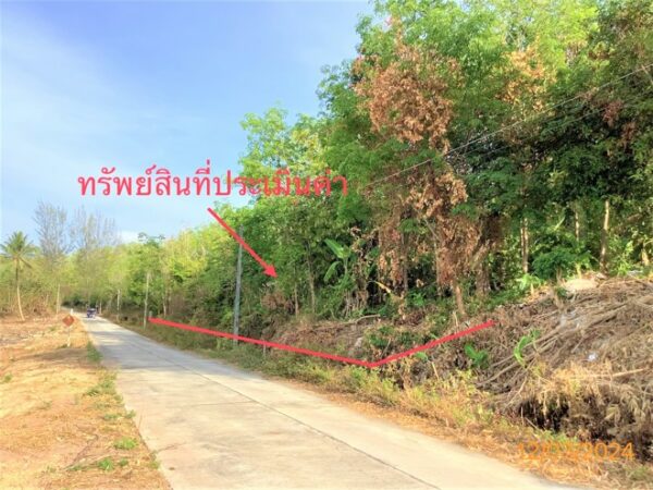 01 Land is empty. _photo