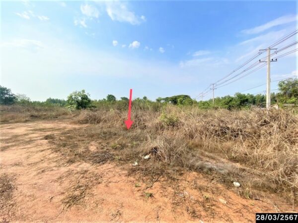 01 Land is empty. _photo
