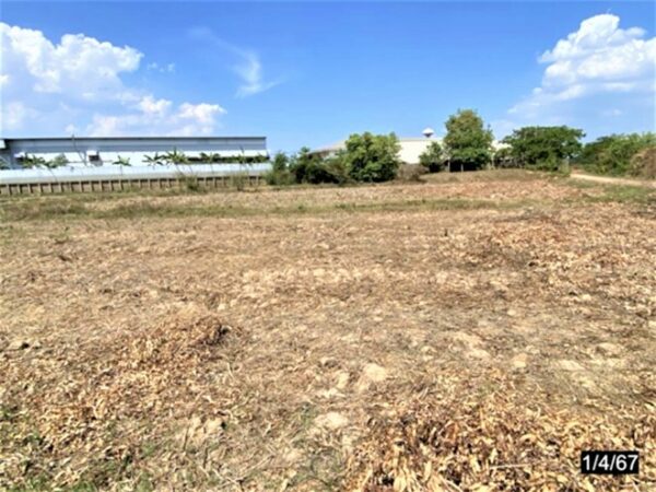 01 Land is empty. _photo