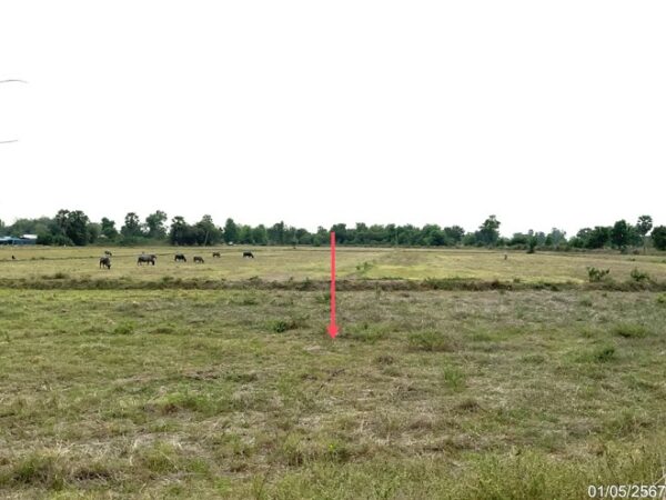 01 Land is empty. _photo