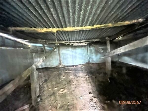 02 Single House _photo