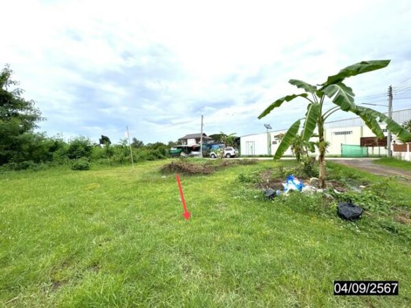 01 Land is empty. _photo
