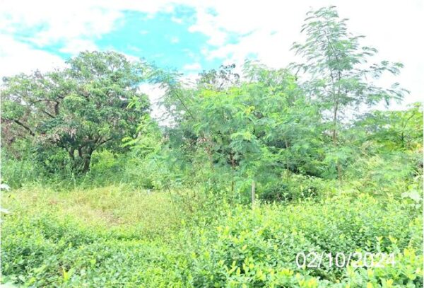 01 Land is empty. _photo