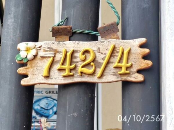 02 Single House _photo