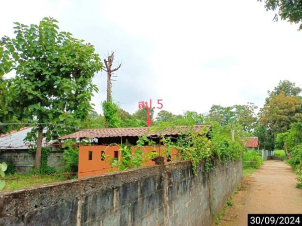 02 Single House _photo