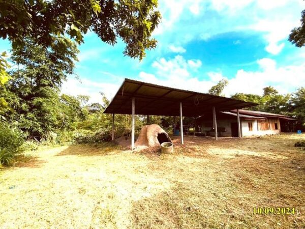 02 Single House _photo