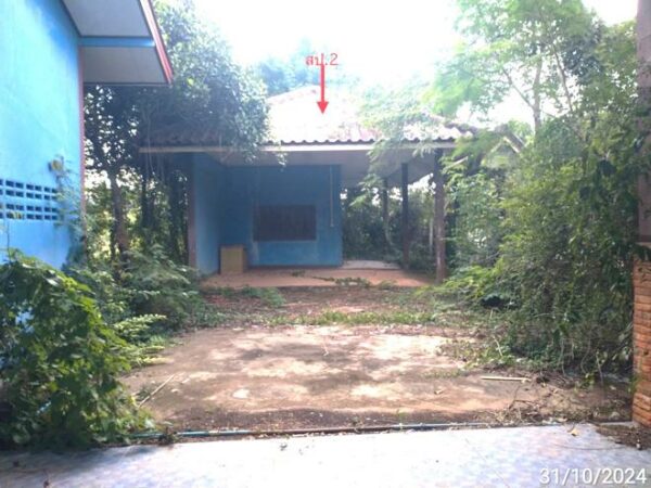 02 Single House _photo