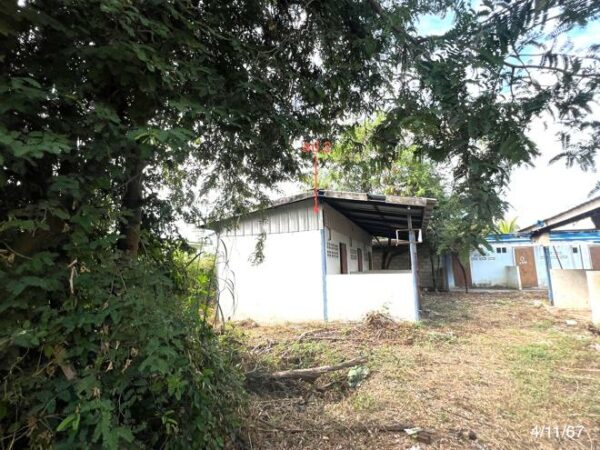 02 Single House _photo