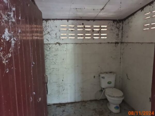 02 Single House _photo