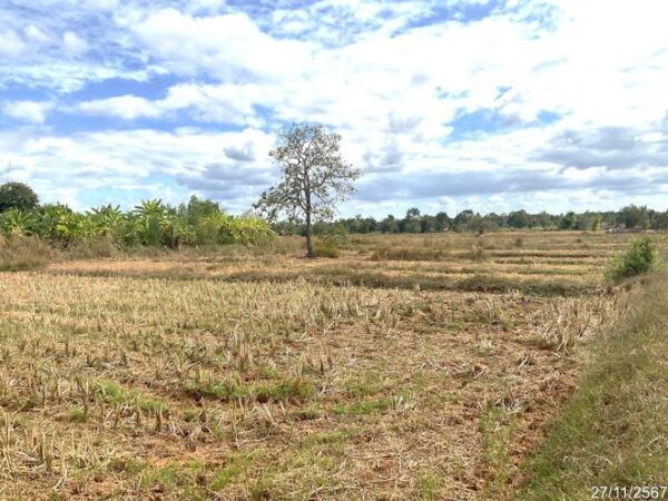 01 Land is empty. _photo