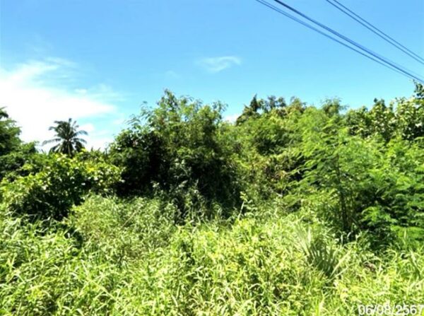 02 Single House _photo