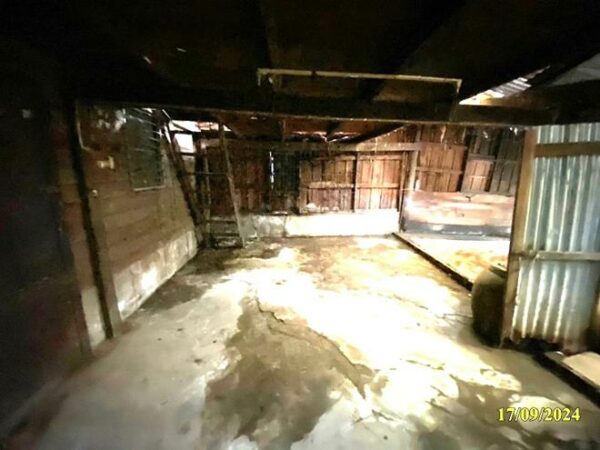02 Single House _photo