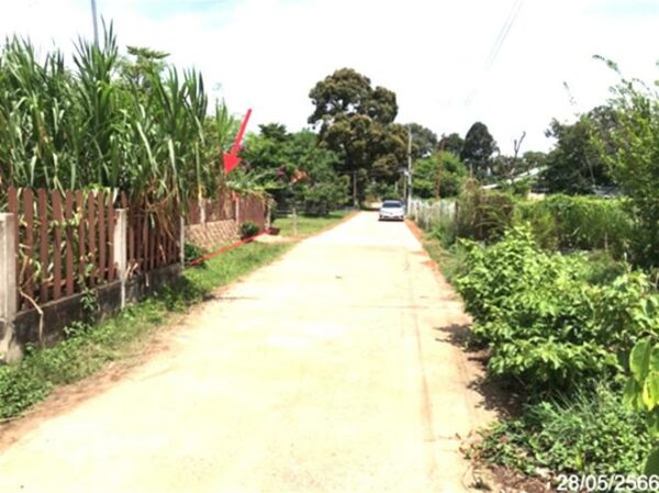 02 Single House _photo
