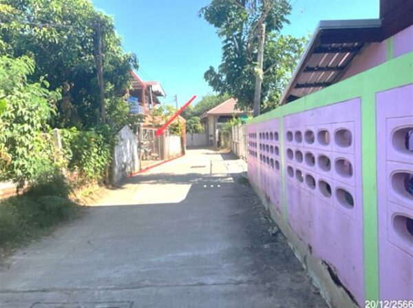 02 Single House _photo