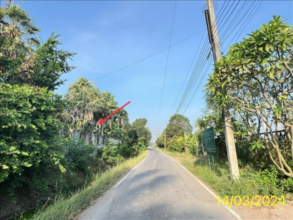 02 Single House _photo