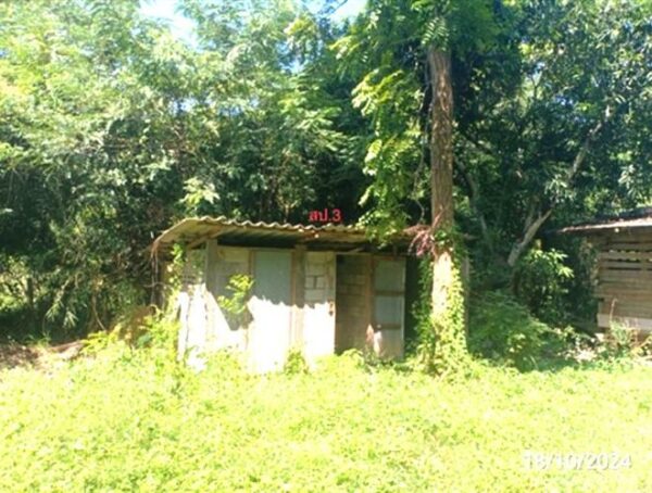 02 Single House _photo