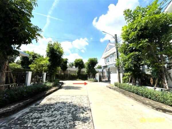 02 Single House _photo