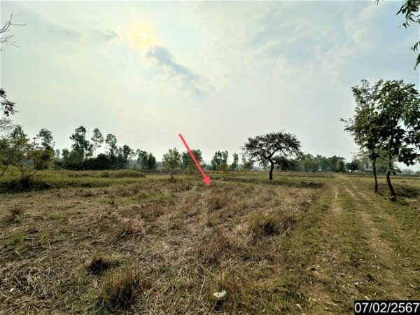 01 Land is empty. _photo