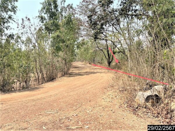 01 Land is empty. _photo