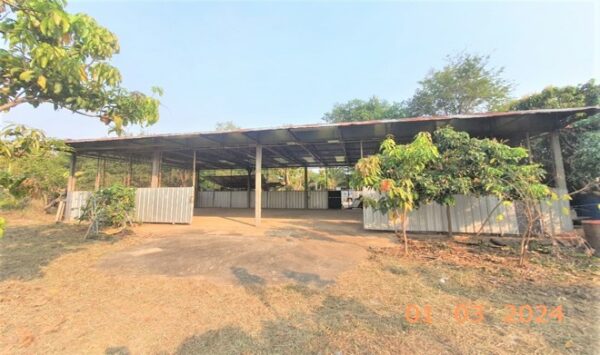 02 Single House _photo