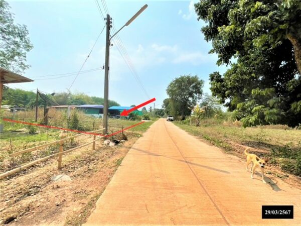 01 Land is empty. _photo