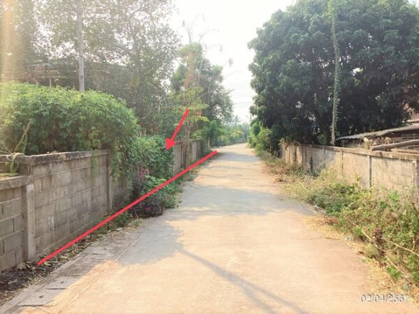 02 Single House _photo