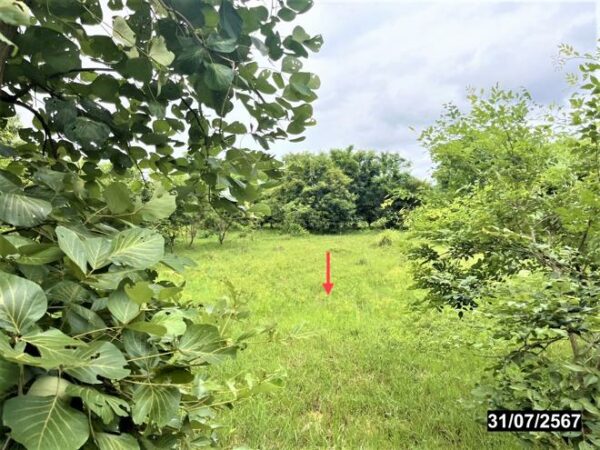 01 Land is empty. _photo