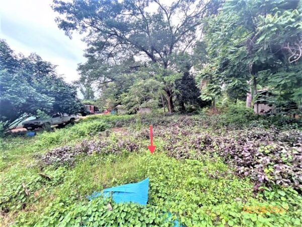 02 Single House _photo