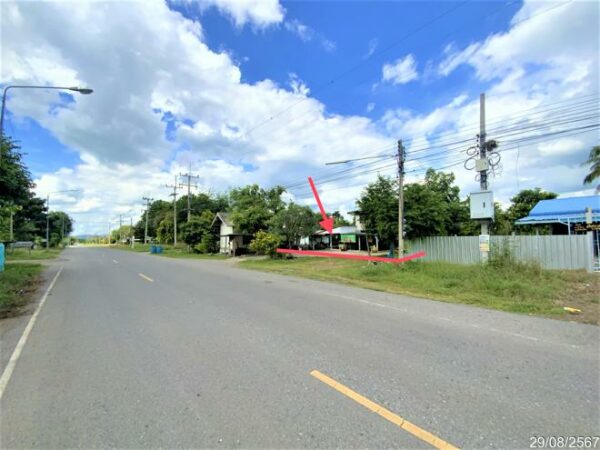 02 Single House _photo
