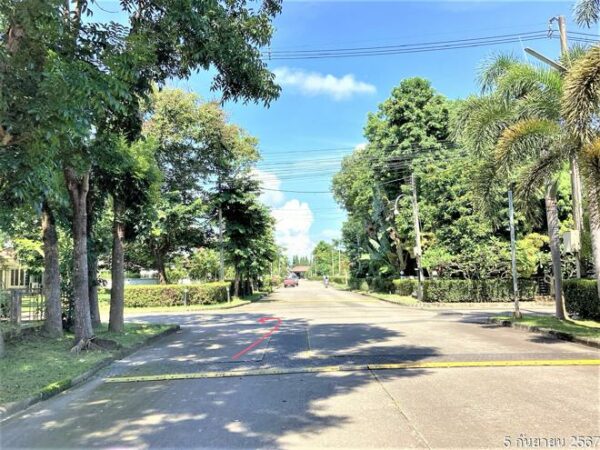 02 Single House _photo