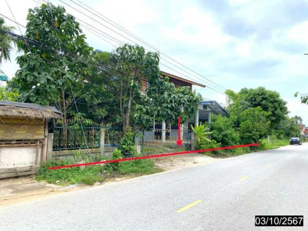02 Single House _photo