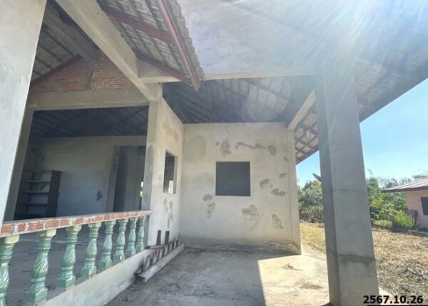 02 Single House _photo