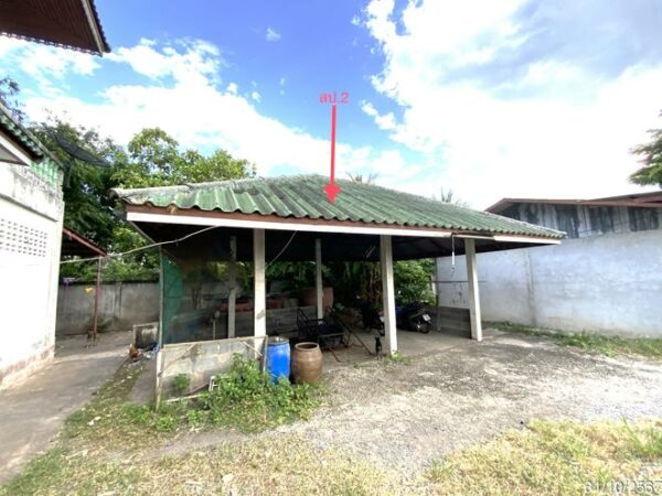 02 Single House _photo