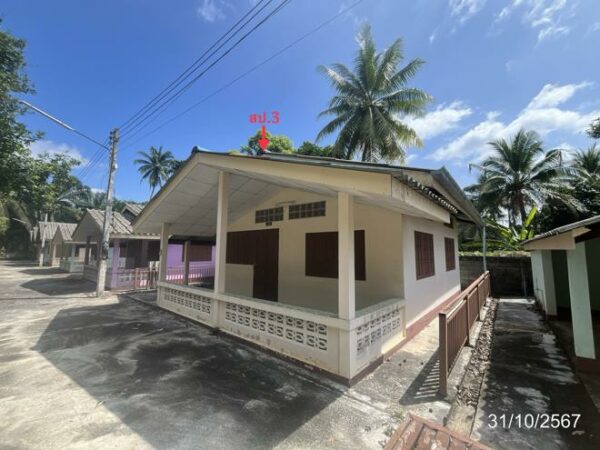02 Single House _photo