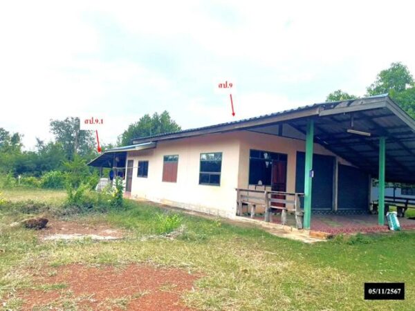02 Single House _photo