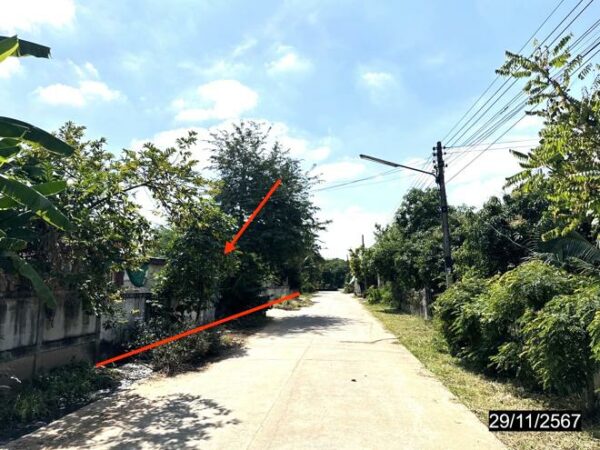 02 Single House _photo