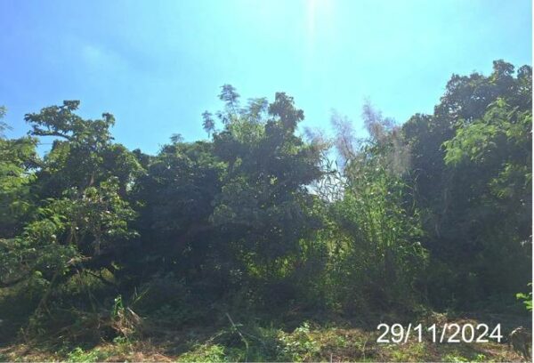 01 Land is empty. _photo