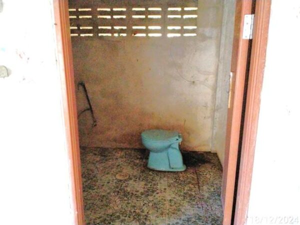 02 Single House _photo