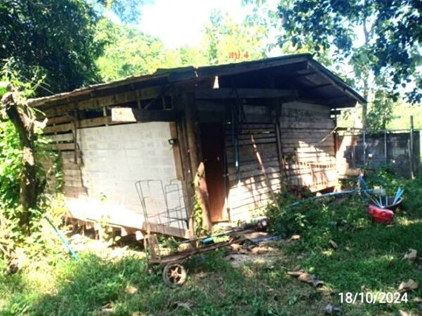 02 Single House _photo