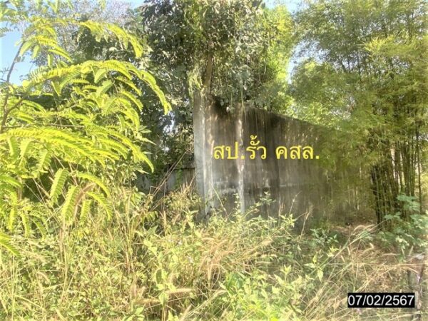 01 Land is empty. _photo