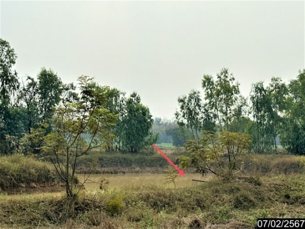 01 Land is empty. _photo