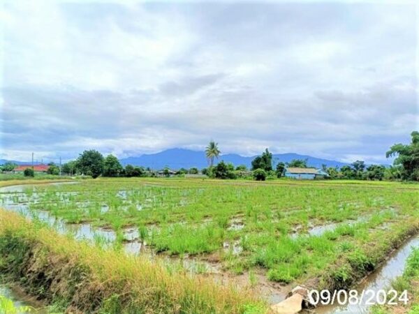 01 Land is empty. _photo