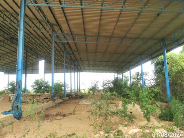 26 multi -purpose sheds _photo