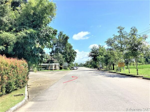 02 Single House _photo