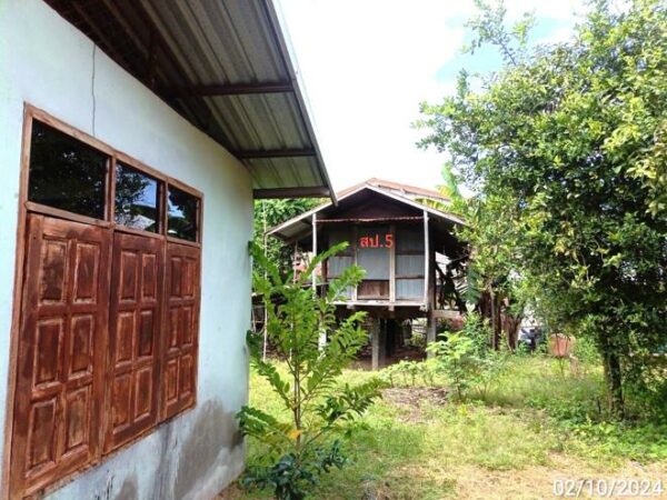 02 Single House _photo