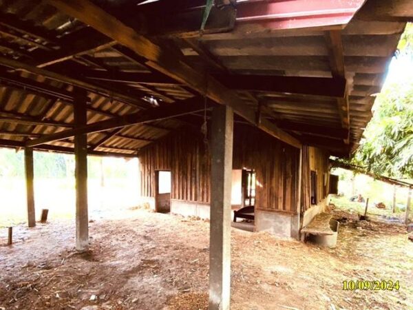 02 Single House _photo
