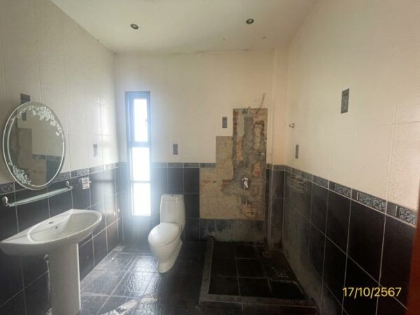 02 Single House _photo