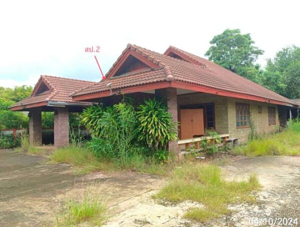 02 Single House _photo