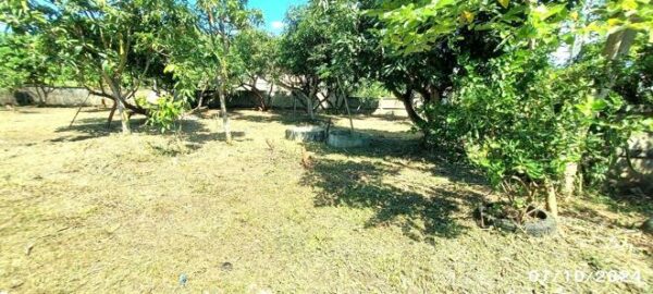26 multi -purpose sheds _photo