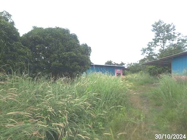 09 Factory Building _photo